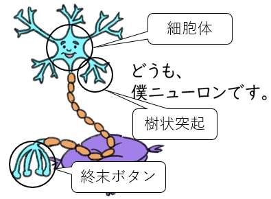 ニューロン1