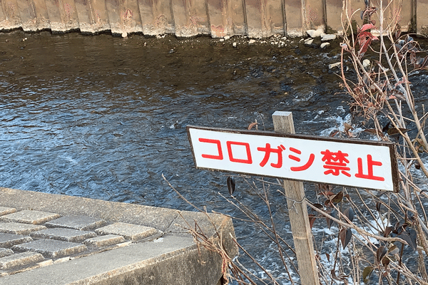 変な看板 の新着タグ記事一覧 Note つくる つながる とどける 変な看板 の新着タグ記事一覧 Note つくる つながる とどける