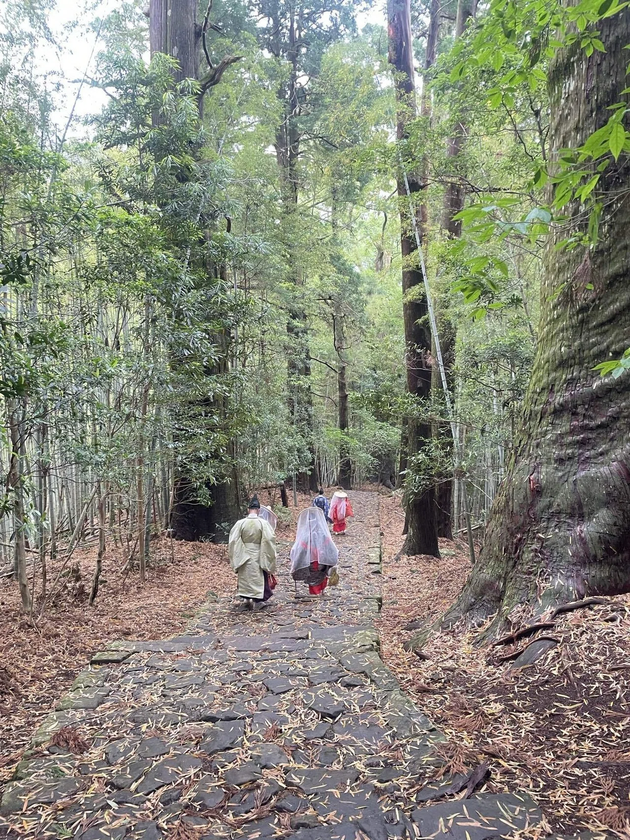 Nachi -- To the Fantastic Kumano Kodo --｜あやみ | 旅の日記