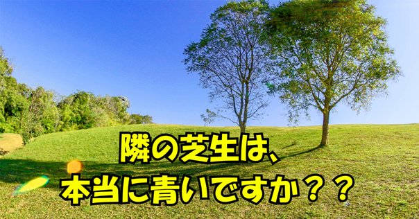 お待たせ! 隣の芝生はやっぱり青い。でも隣から見たうちの芝生も青いのかも ボクシング