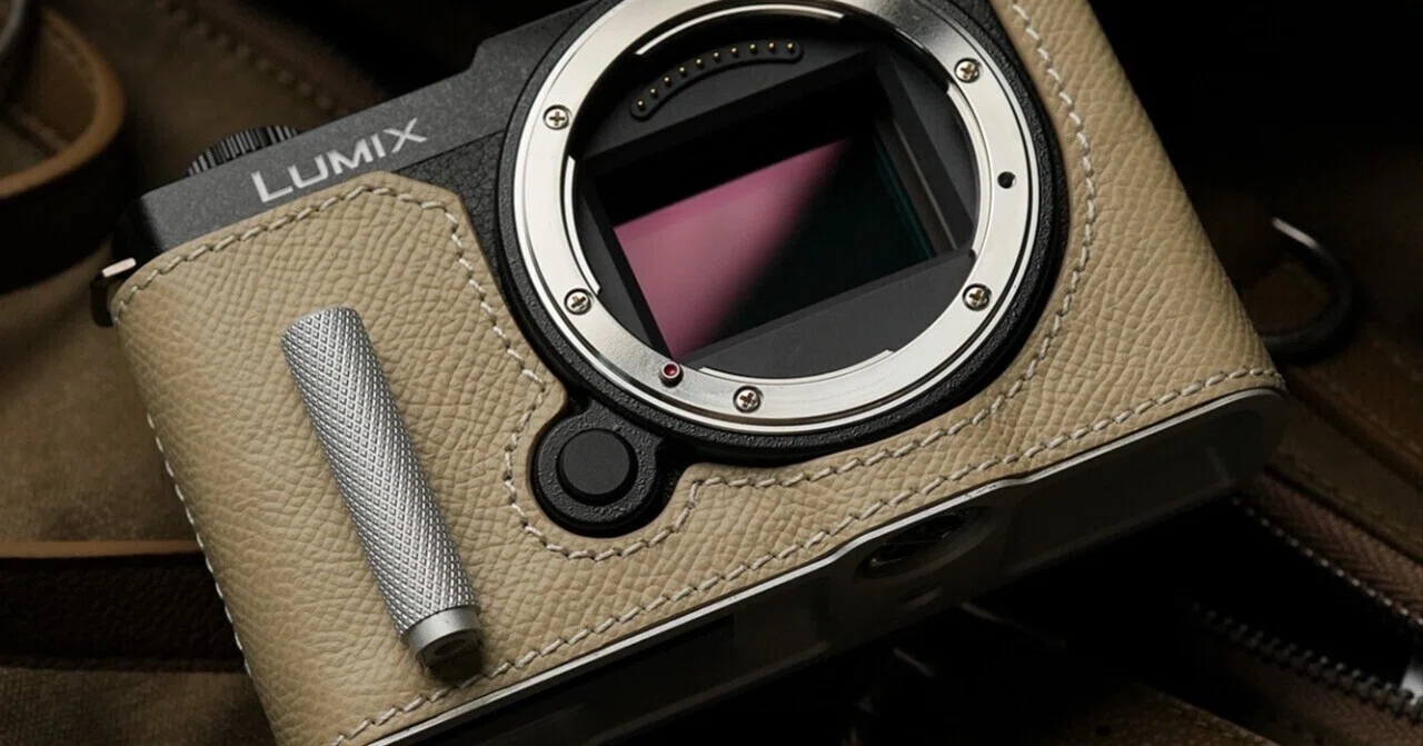 ケース付○Panasonic パナソニック LUMIX ルミックス DMC-FX30