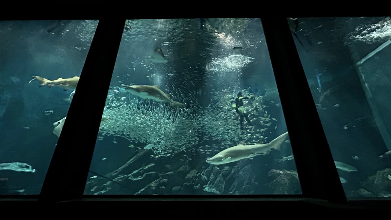 マリンワールド海の中道 MARINEWORLD uminonakamichi｜MELLOW TIMES IN