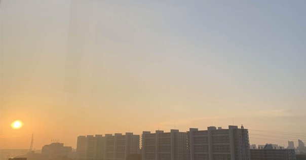 研修、入社 』｜猪鼻康幸