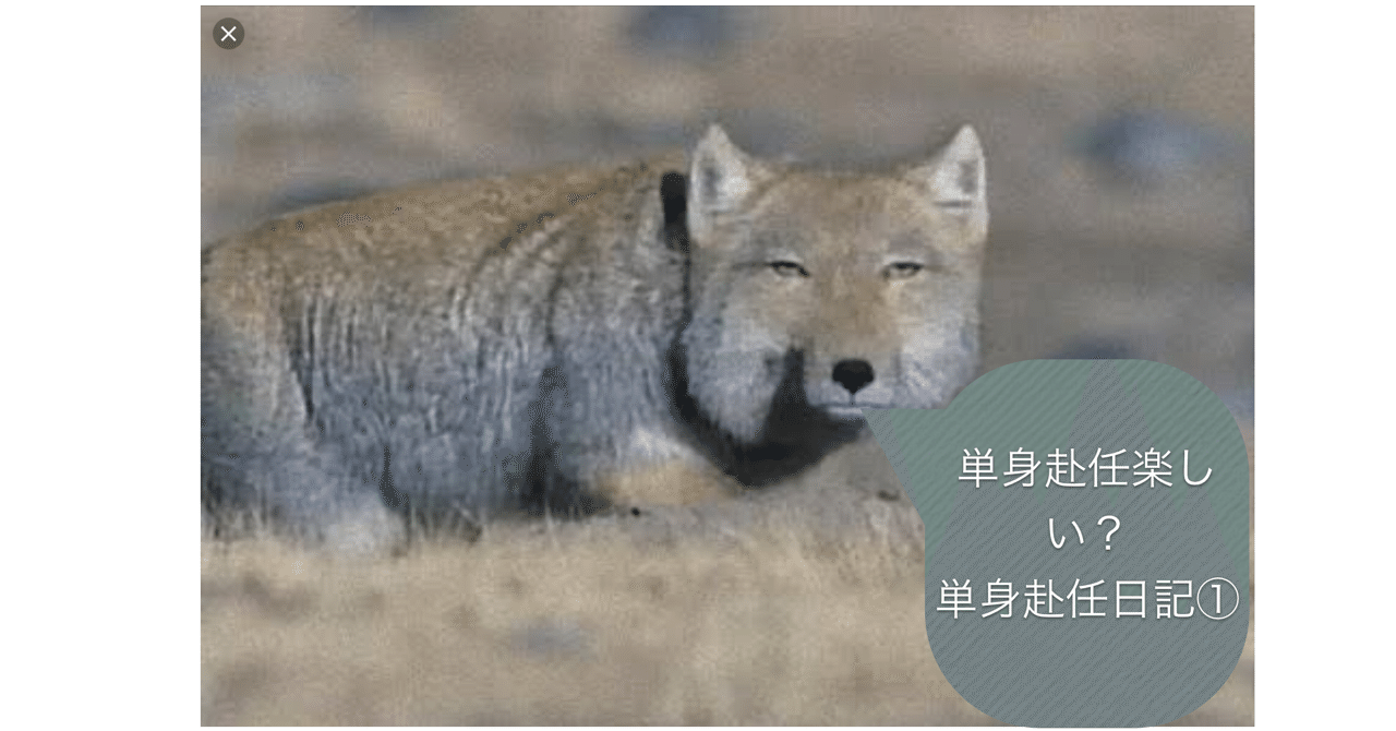 単身赴任が楽しい人 単身赴任がつまらない人 この違いは 単身赴任生活から見た考え方 生き方 戦略的単身赴任生活を振り返る 単身赴任 日記 カゲりん Note