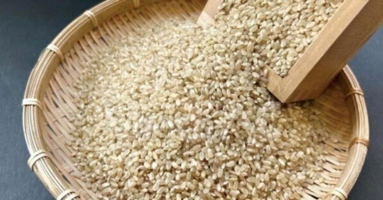 The Power of Brown Rice to Support Health: Nutrients and Easy-to-Eat ...