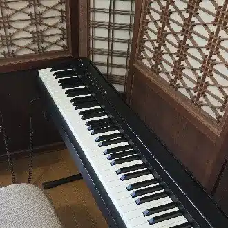 夏目些歩