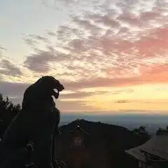 ヨシ婆