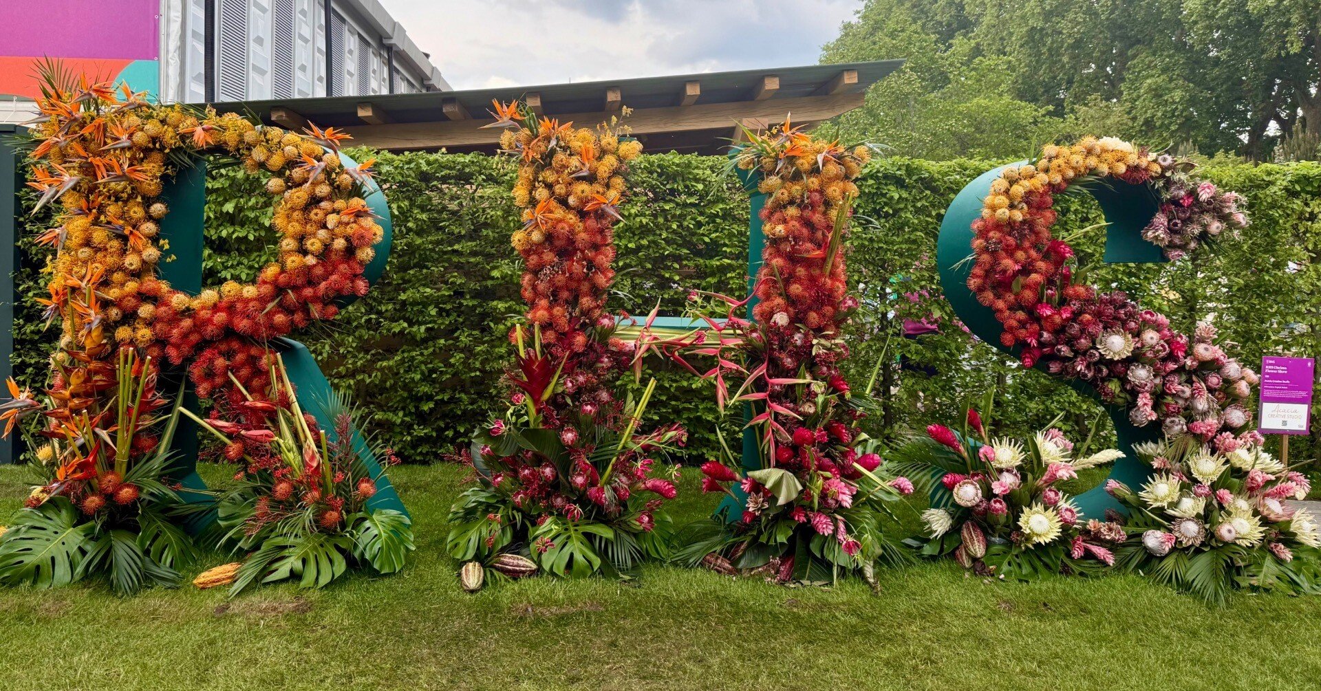 園芸ド素人がチェルシー・フラワーショーにソロ参加した話｜のん子