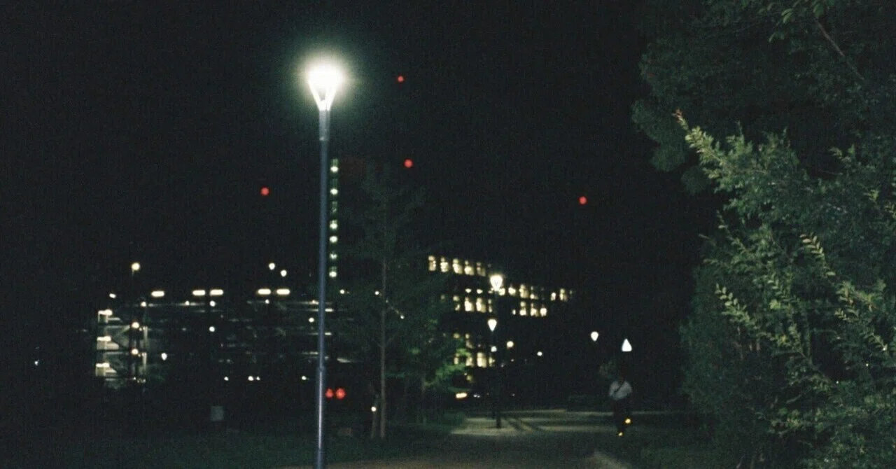 反芻|夕