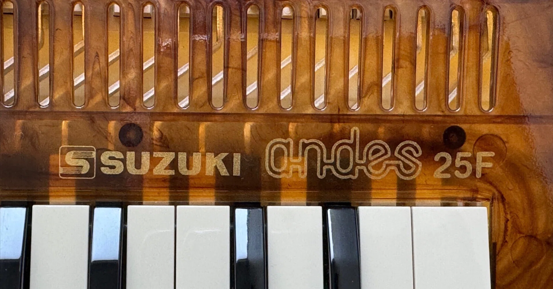 スズキ アンデス 25F べっ甲柄 べっ甲柄の andes 25F｜まんぼう