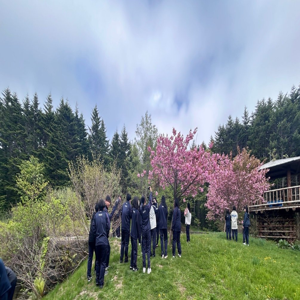 利尻の植物を学ぶ｜北海道利尻高等学校公式note