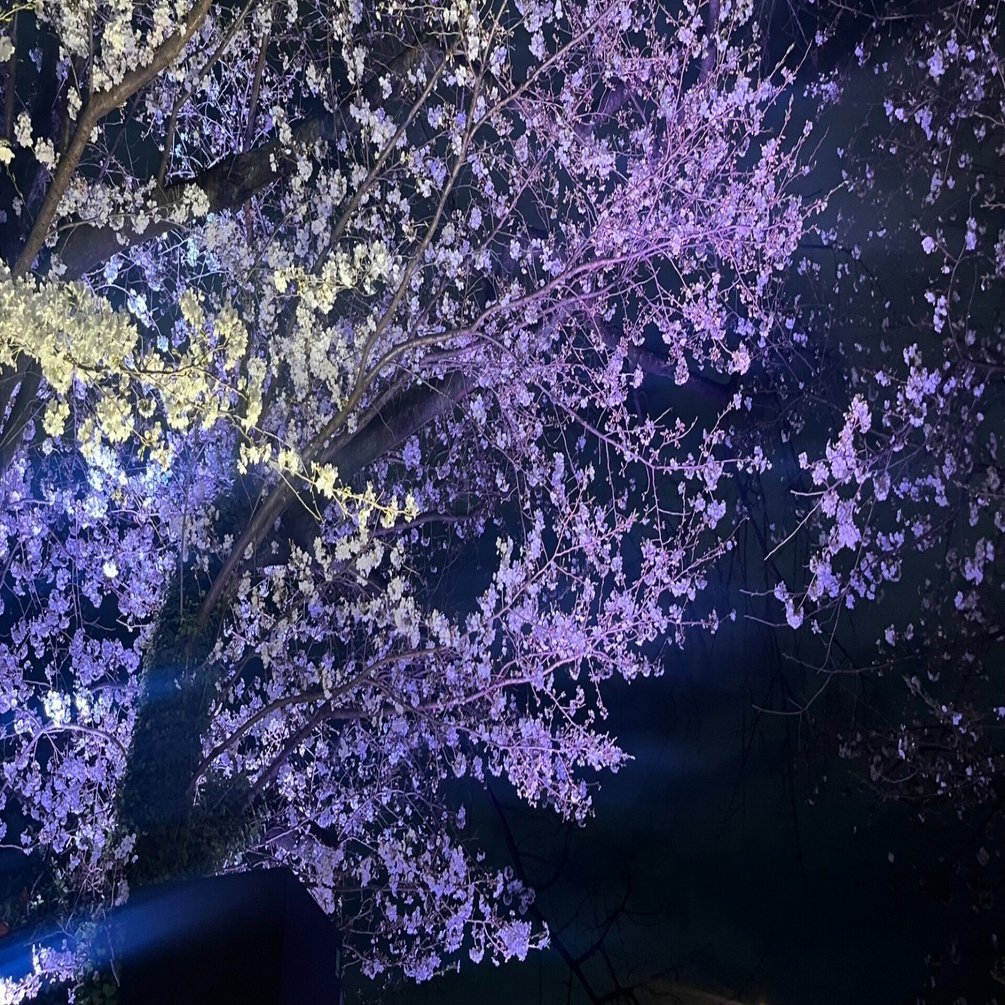 津野米咲・赤い公園の音楽 49. 放蕩｜rayf