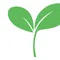 草（GRASS）をあつめて稼ぎ続けることを狙っている人（エアドロップ）
