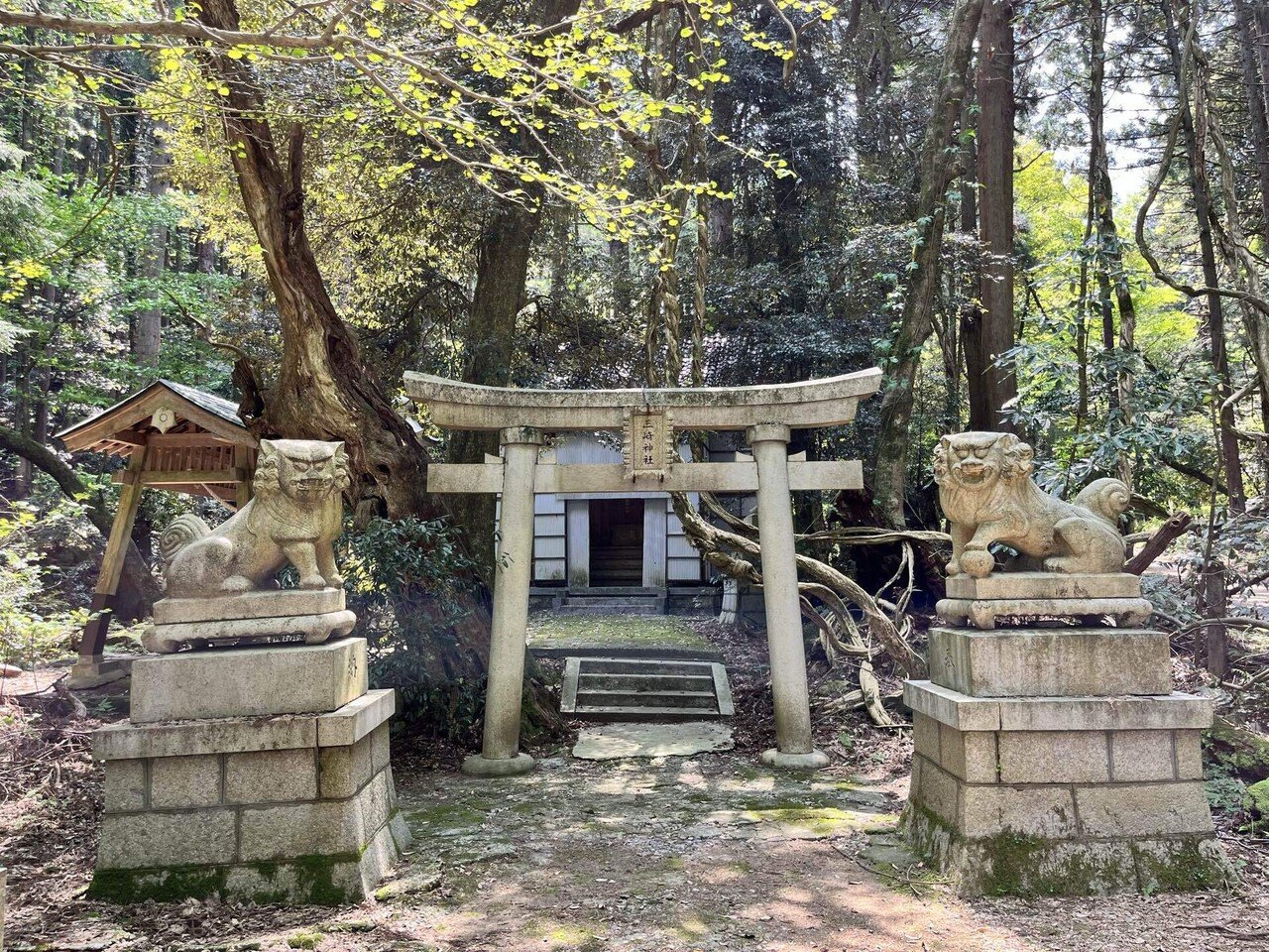 時の輪が巡る場所、そして立山が育んだ摩崖仏の日石寺と富山県埋文へ