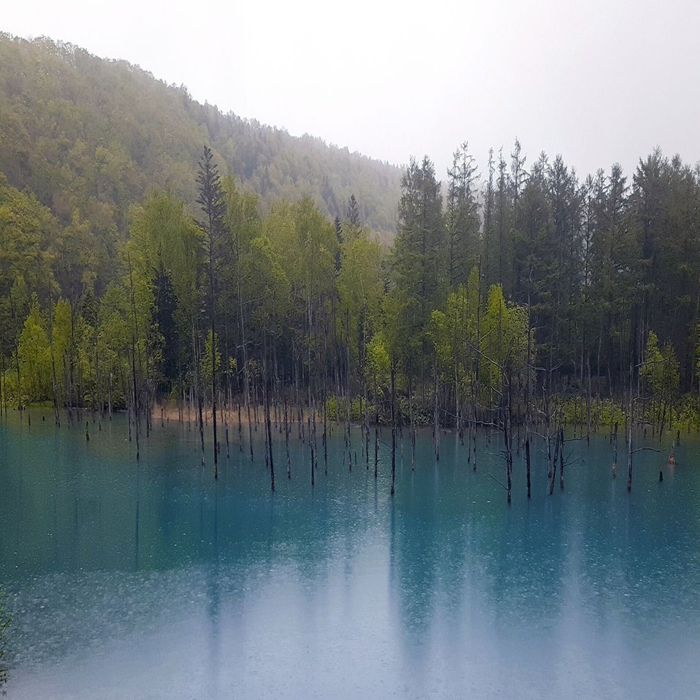 美瑛・上富良野】インフラ・ジオツアー開始／青い池など十勝岳の火山