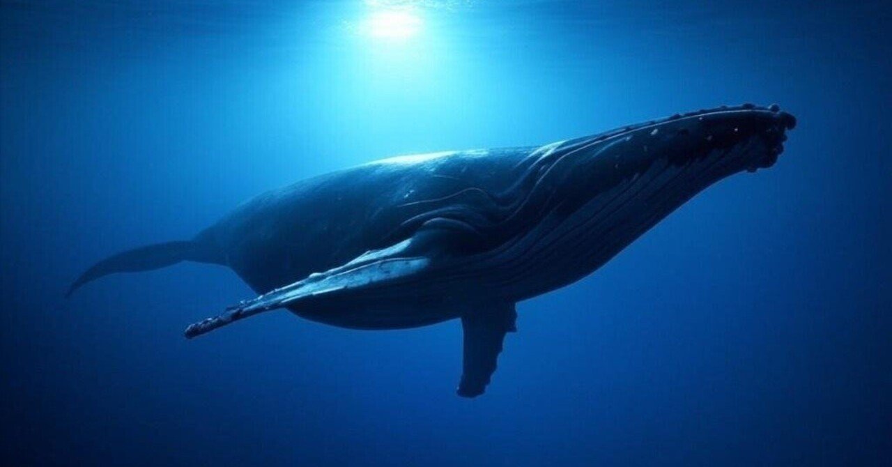 The household intervention problemThe Struggle For Freedom