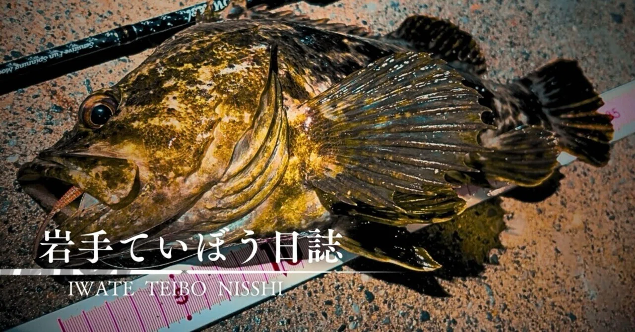陸前高田市】巨漢！ベッコウゾイ！メバリング中に大型のロック 