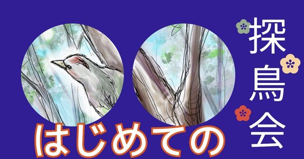 鳥が教えてくれた空 | NHK出版