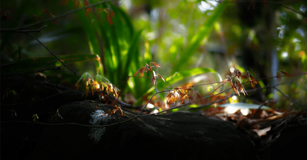 AIを使っても自動化できないのはどうしてだろうか?ユーキ