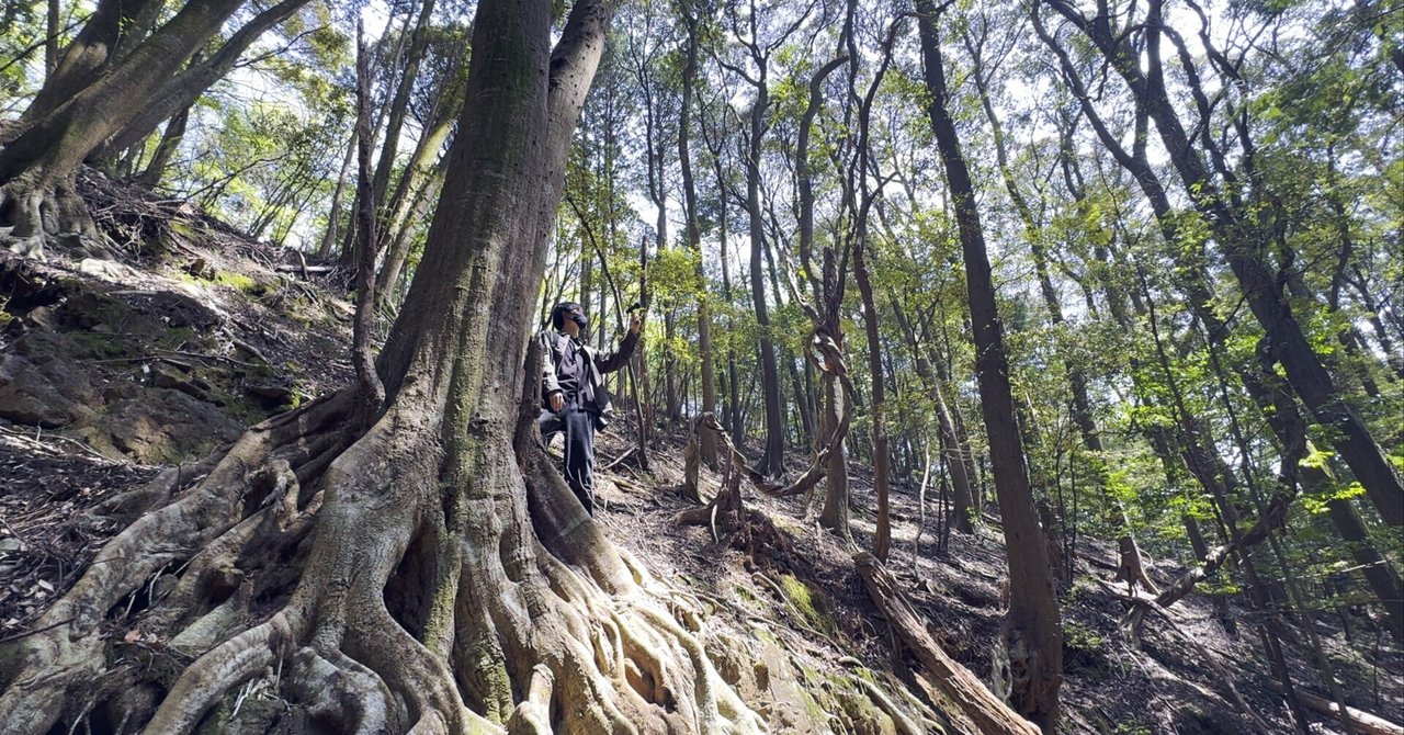 活動まとめ(25/5)K,O🪐ケーオー