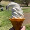 今日もネボケています。