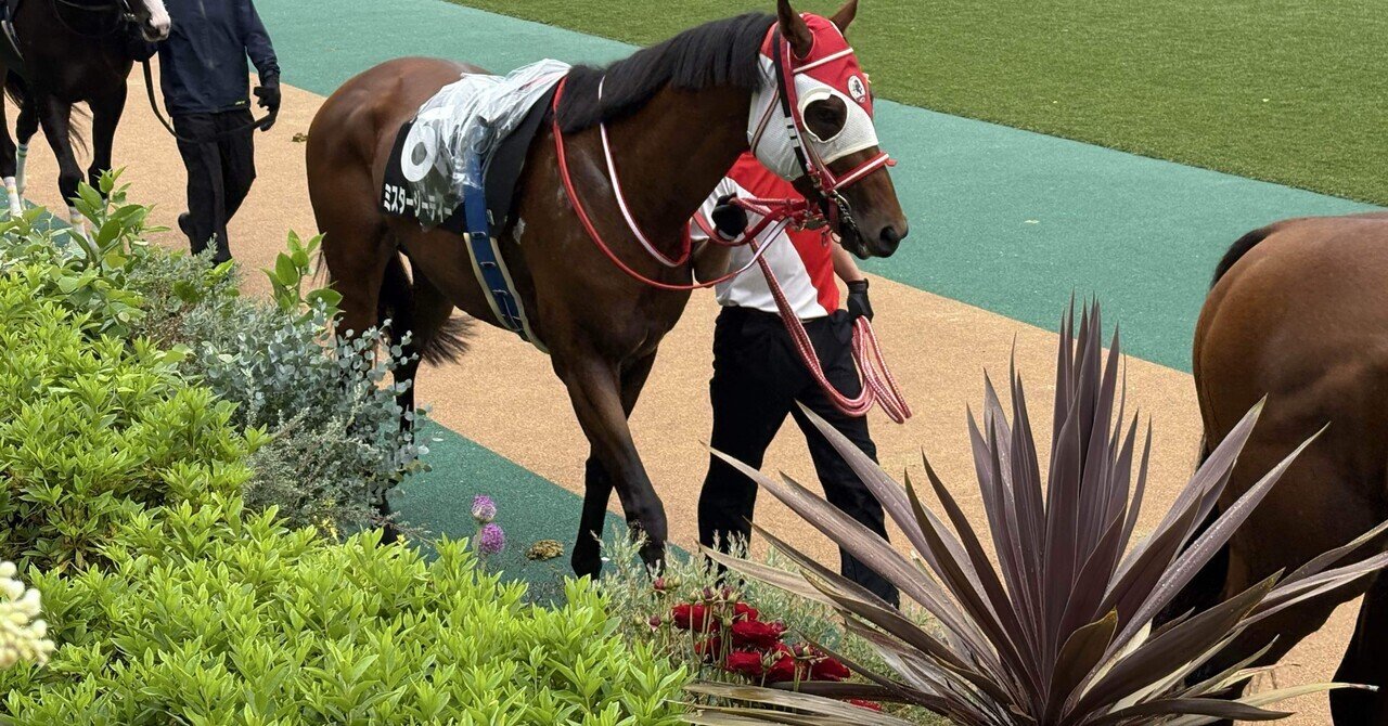 日本ダービー】枠が出たので、早速「馬名プロファイル」を考えてみまし