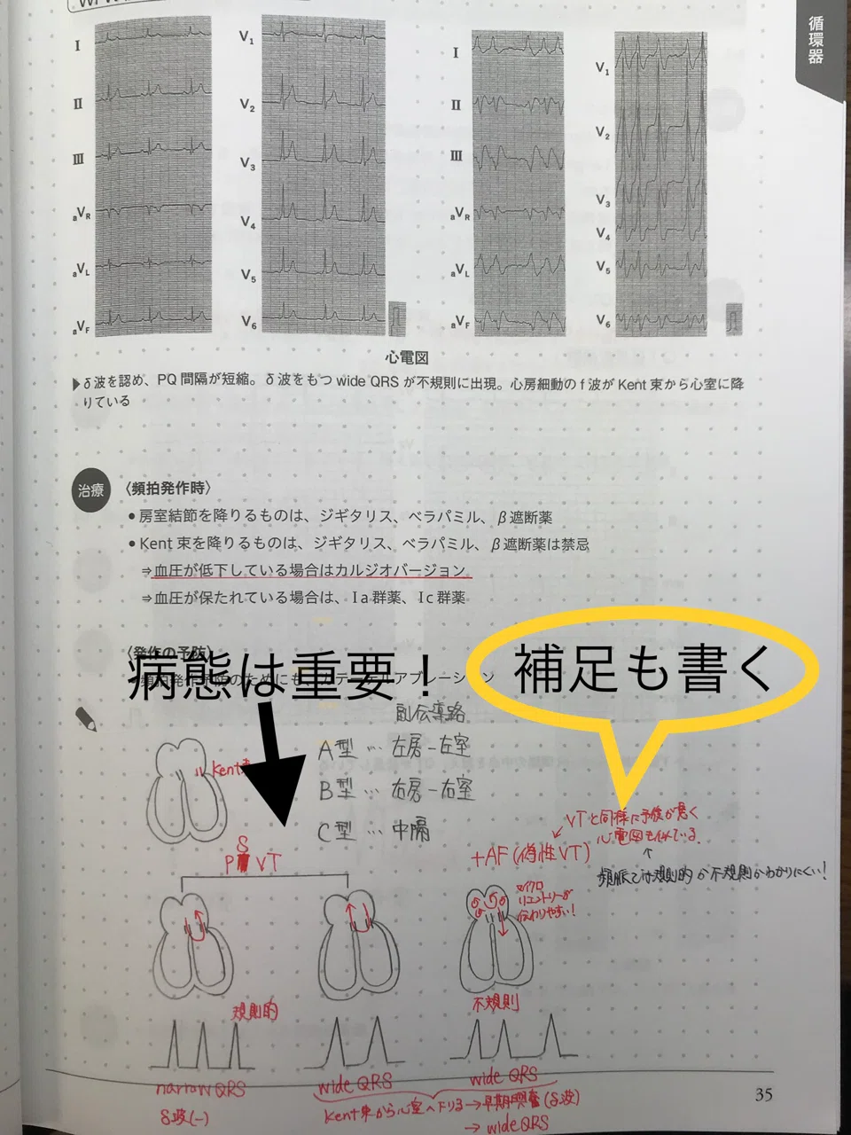 医師国家試験の勉強法失敗談 改善策 医学生ちーくん Note