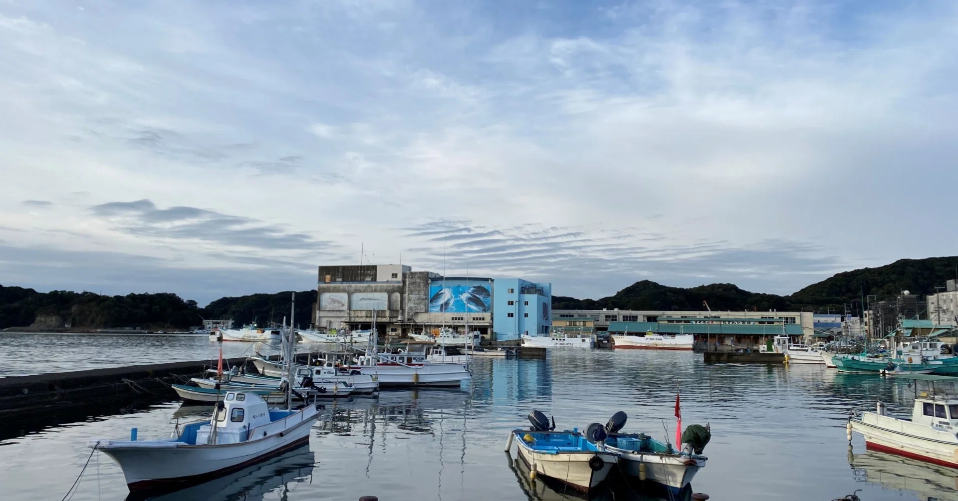 鎌田義裕森の風景 大きめ シルバー額縁