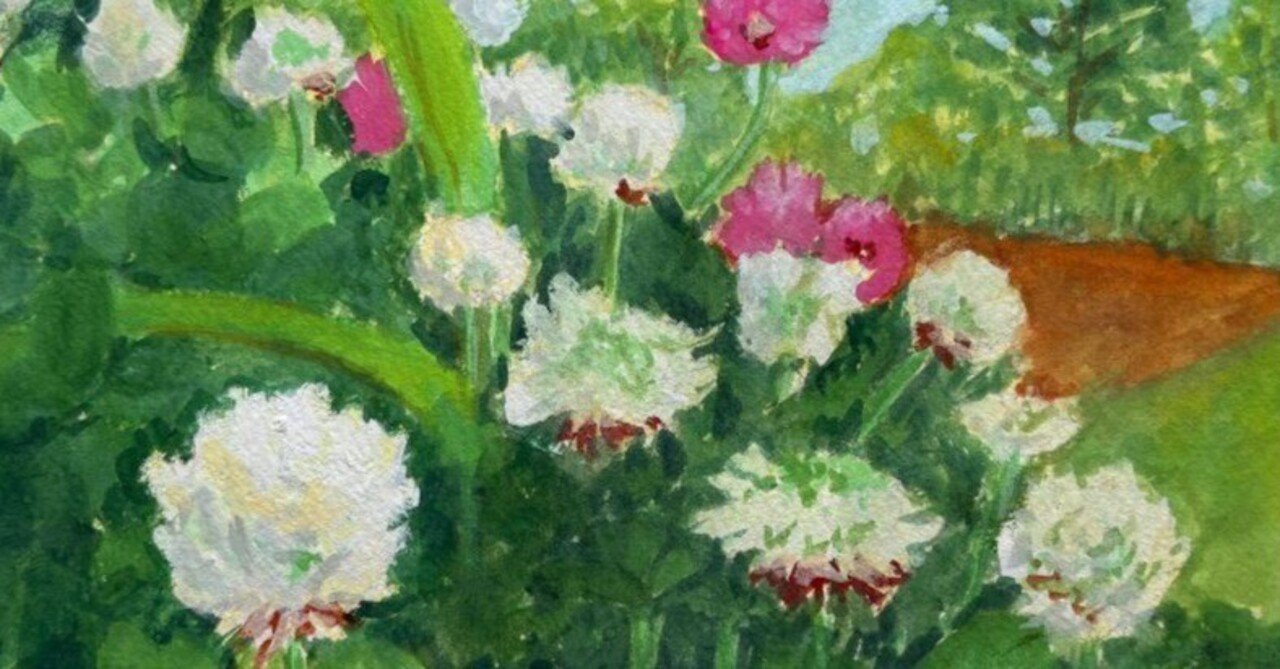 植物画たんぽぽ＊シロツメクサ＊アカツメクサ｜絵画 - 絵画