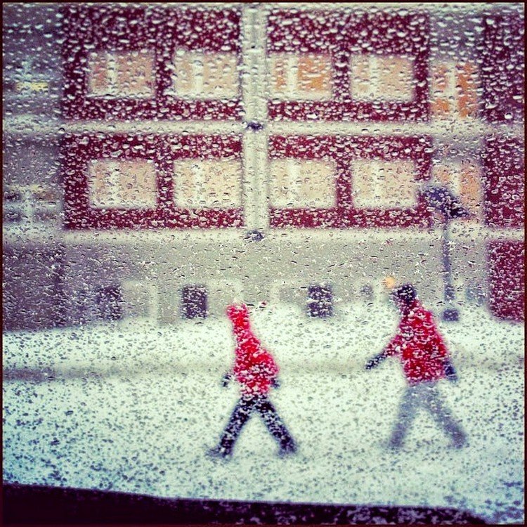 しんしんと降る雪の中を散歩中人をパチリ