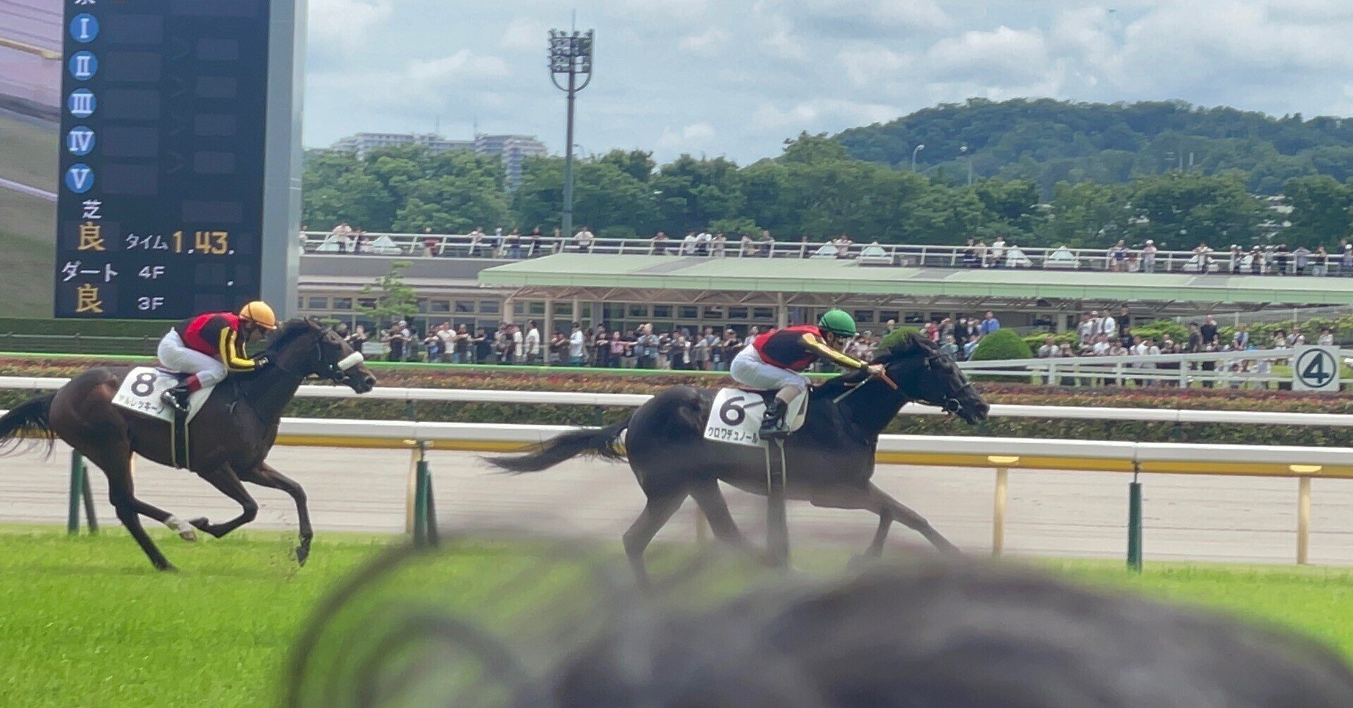 品質保証 新馬メイクデビュー東京クロワデュノール現地単勝