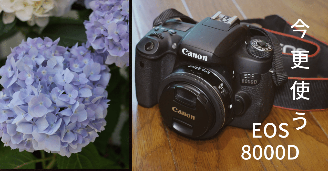 Canon EOS 8000D トリプルレンズセット