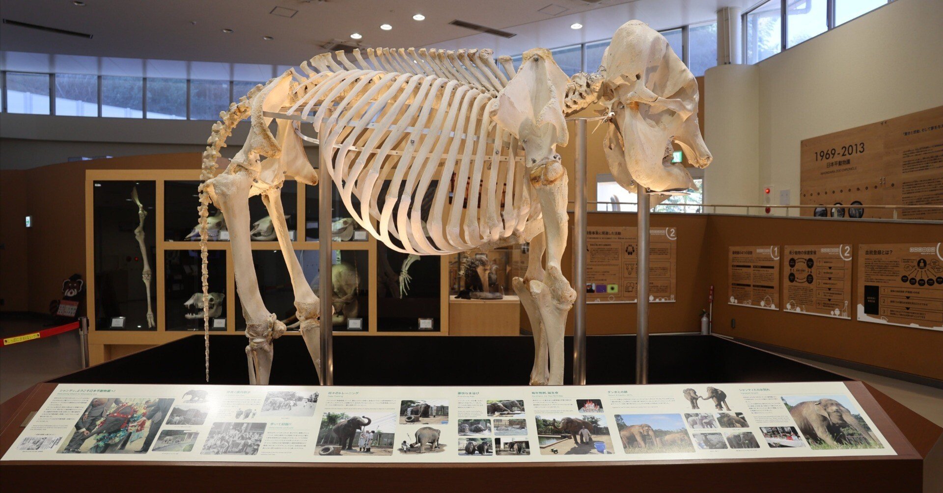 24c85ace5a720dd8bac2d06139a05a