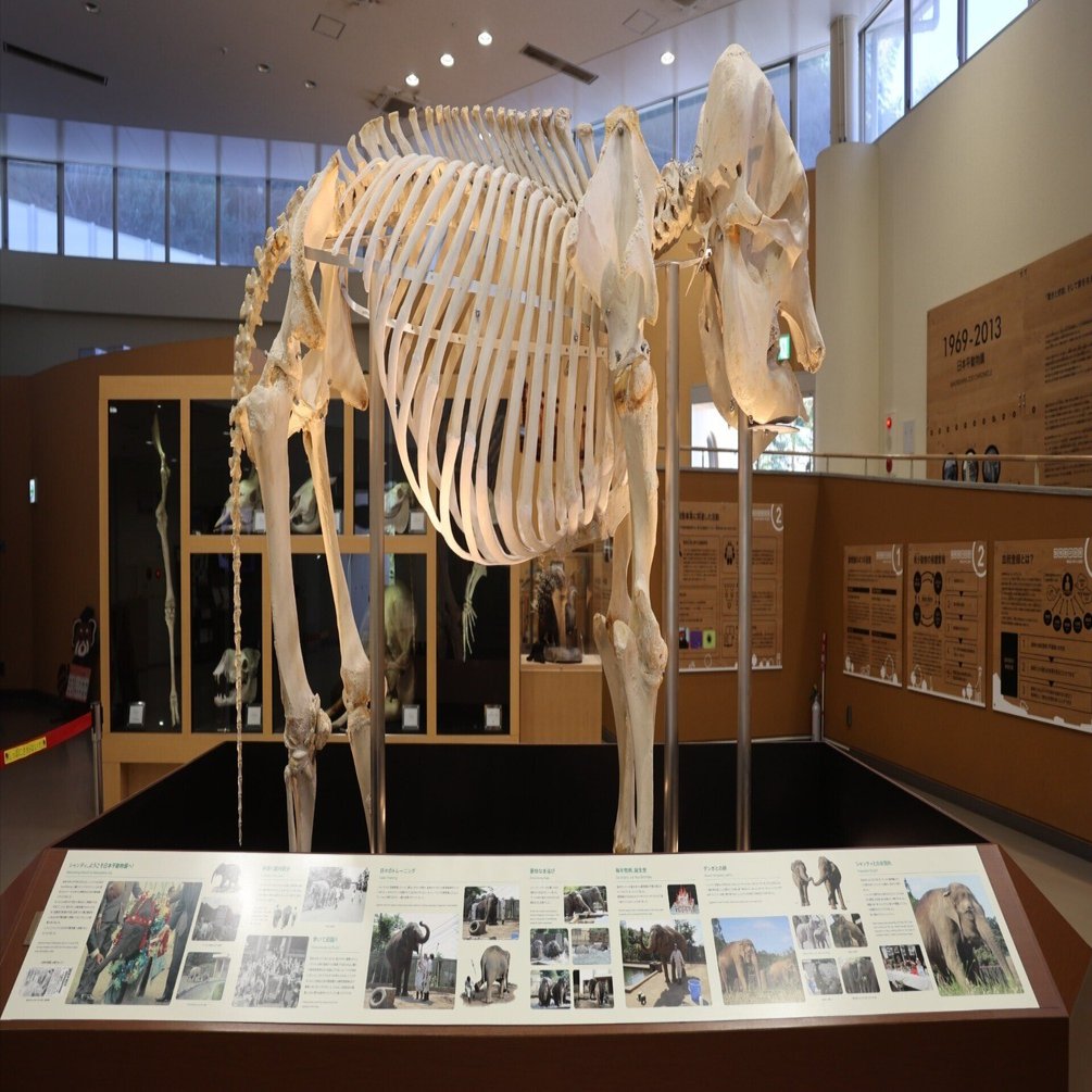 動物園水族館建築物紹介】その30 日本平動物園 ビジターセンター