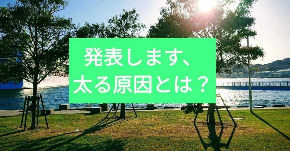 ダイエットできない 痩せない原因とその対策 まっつお Note