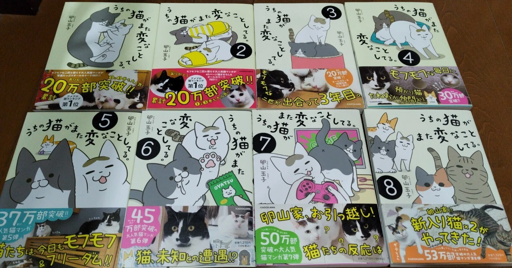 うちの猫がまた変なことしてる。/卵山玉子｜真咲ともか