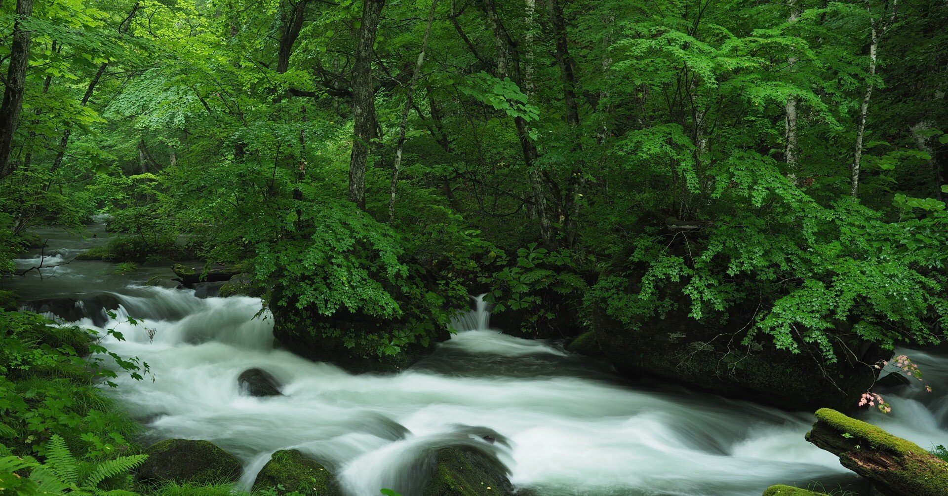 奥入瀬渓流の歩き方のキホン｜奥入瀬日和@星野リゾート