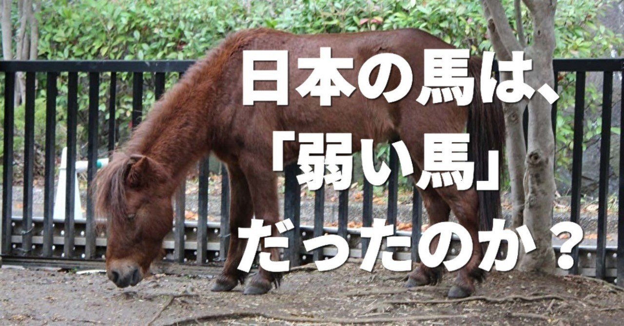 武士が乗っていた 日本固有の馬 は サラブレッドよりも弱かったのか 文藝春秋digital 武士が乗っていた 日本固有の馬 は サラブレッドよりも弱かったのか 文藝春秋digital