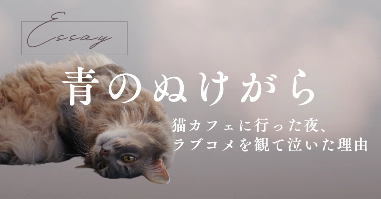 見出し画像