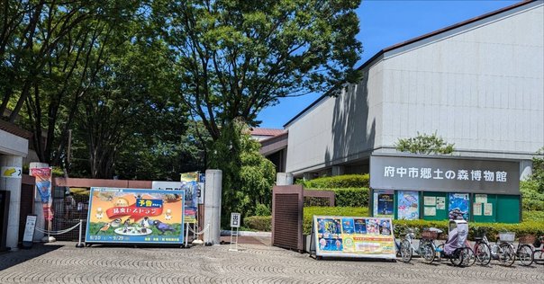 恐竜日記④】恐竜・化石の提供者はこんな人ー十津守宏さんのご