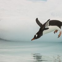 最近の若いやつはと言ってた人も言われていた サランラップ Note