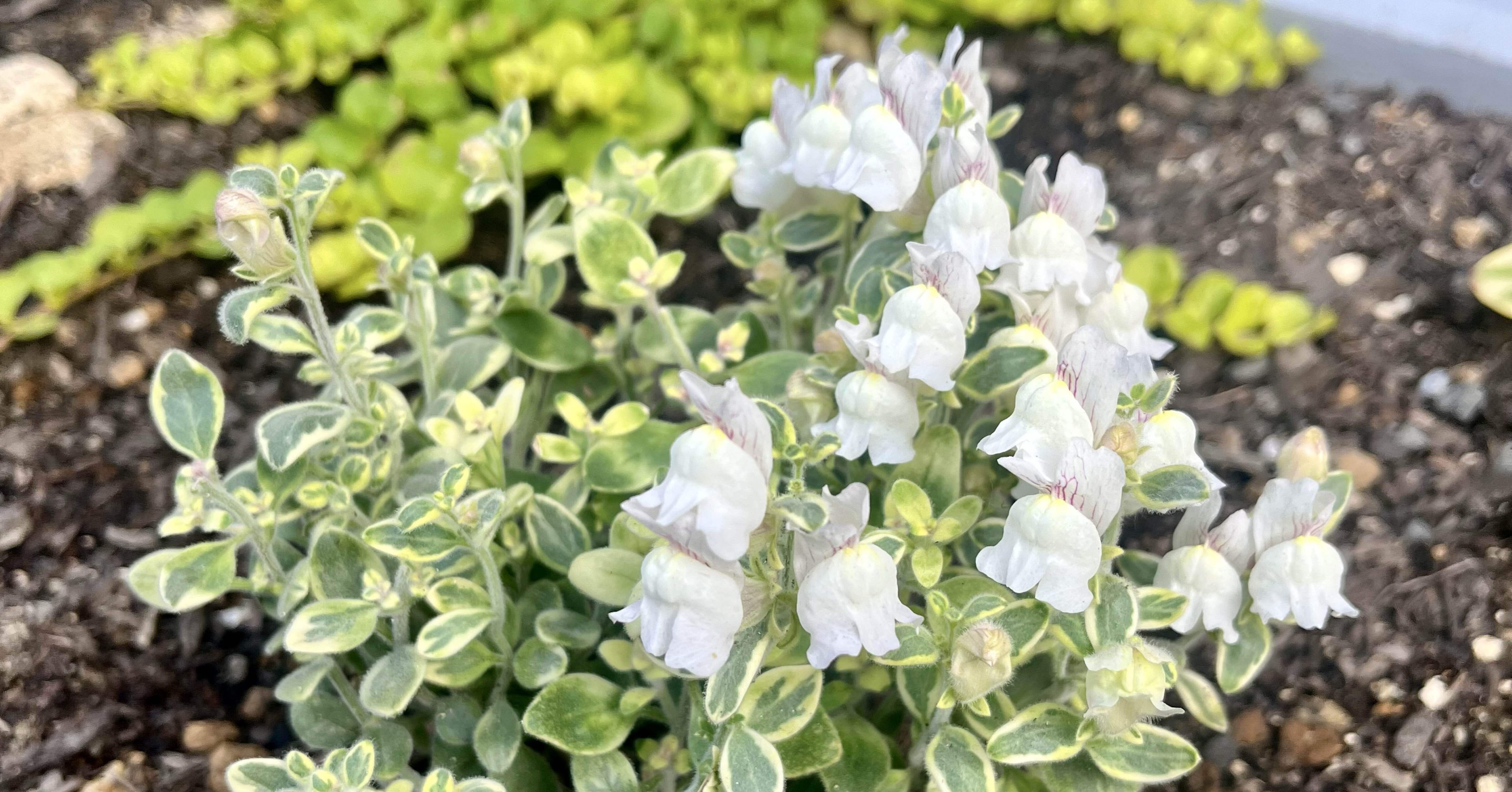 48aef4d5e0d6d7027f3207dfbe1e36