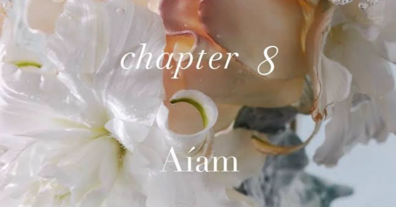 chapter 8｜HIDEAKI