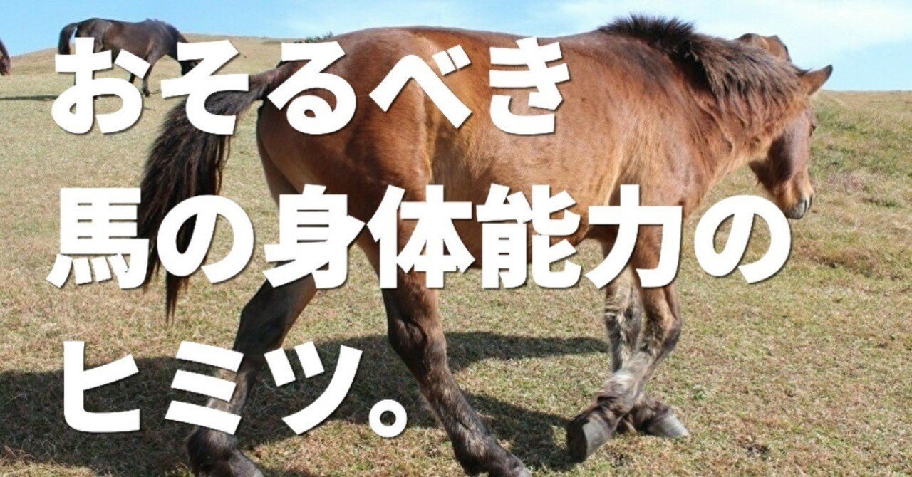 おそるべき 馬 の身体能力 99 の馬は泳ぐことができる 文藝春秋digital