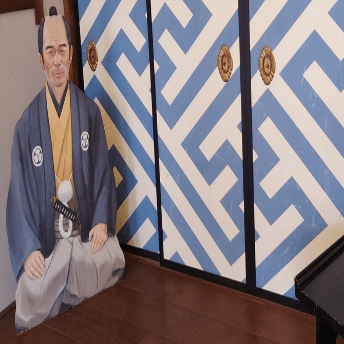 お江戸捕物日記 照姫七変化｜摩天楼