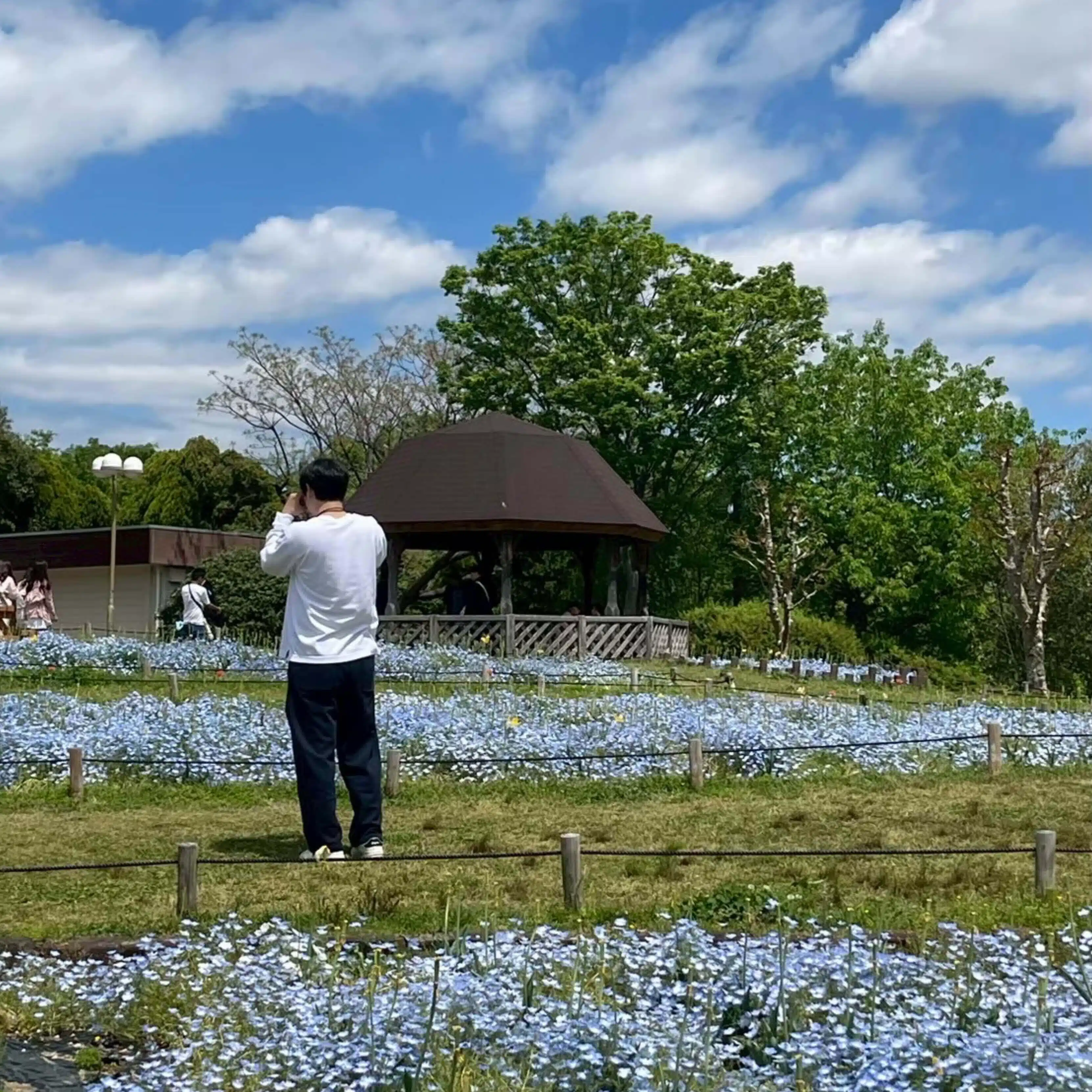 hiromaru