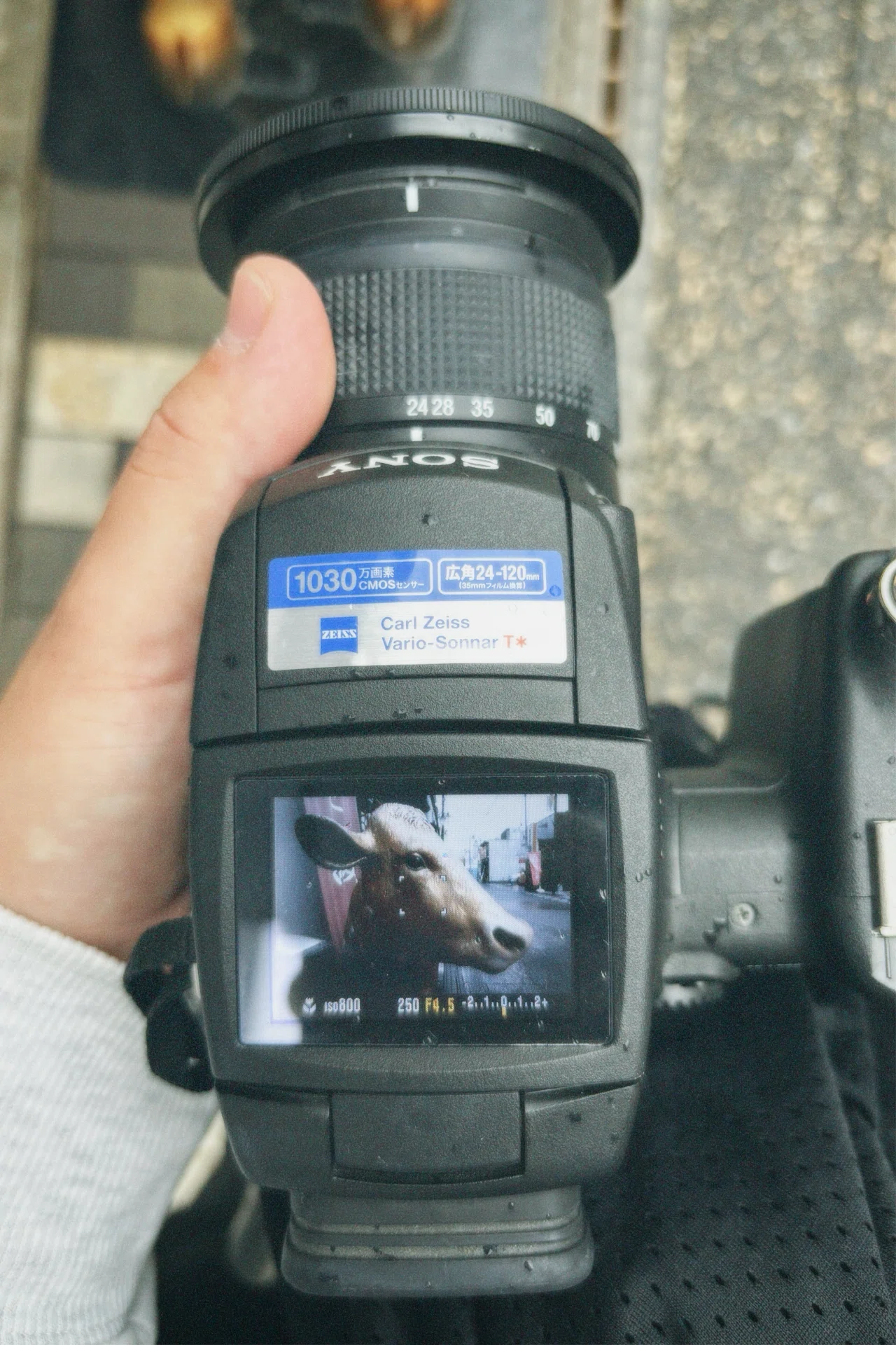 スマホに戻れなくなる構図体験。DSC-R1で撮るとき、君は写真家になる