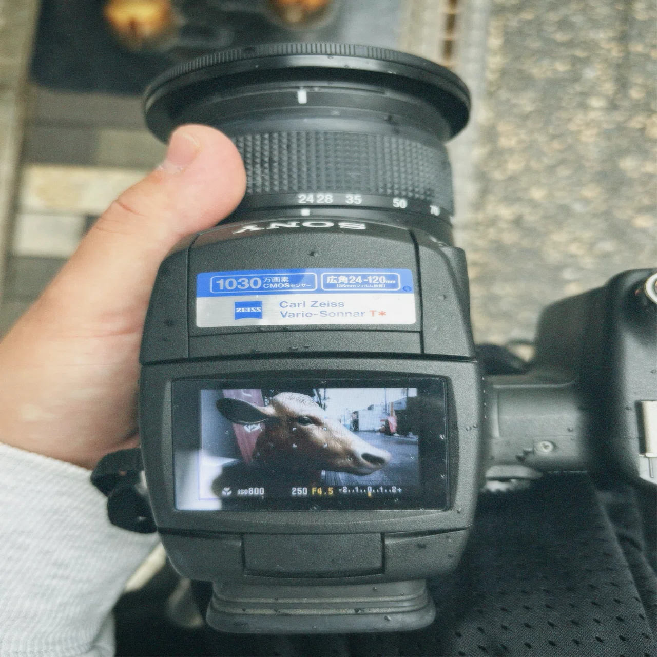 SONY DSC-R1 Carl Zeiss Vario-Sonnarデジカメ スマホに戻れなくなる構図体験。DSC-R1で撮るとき、君は写真家になる