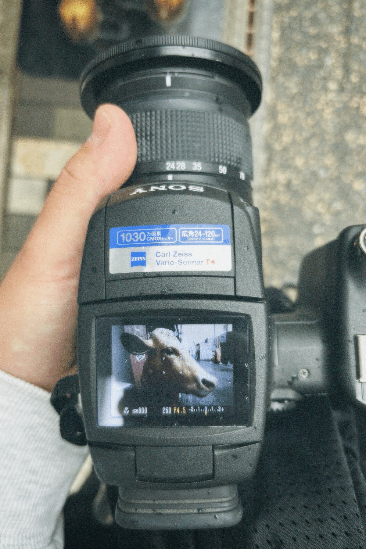 スマホに戻れなくなる構図体験。DSC-R1で撮るとき、君は写真家に