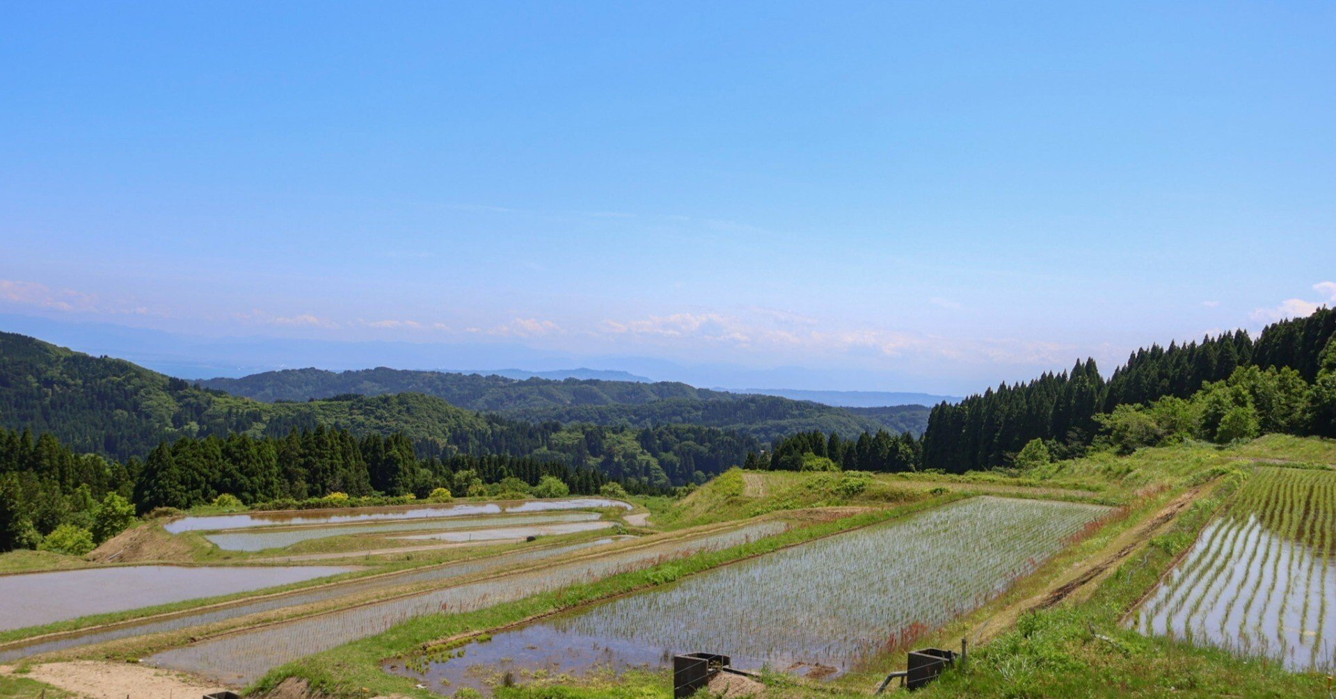 a8b6dd0e3a998b8589fa5812631324